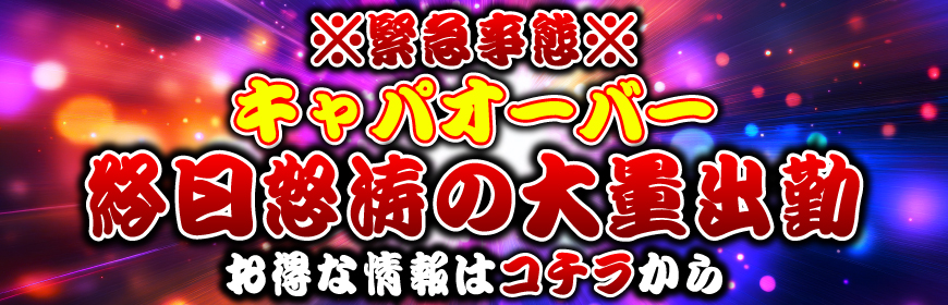 本日限定！！